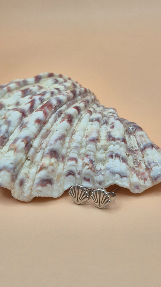 Resilient Soul - Clam Shell Earrings